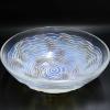 R. Lalique Dauphins Bowl