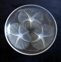 R. Lalique Volubilis Bowl